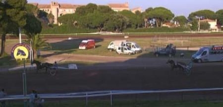 BANCO DE LOU (Kiwi-Pareastern de Lou)