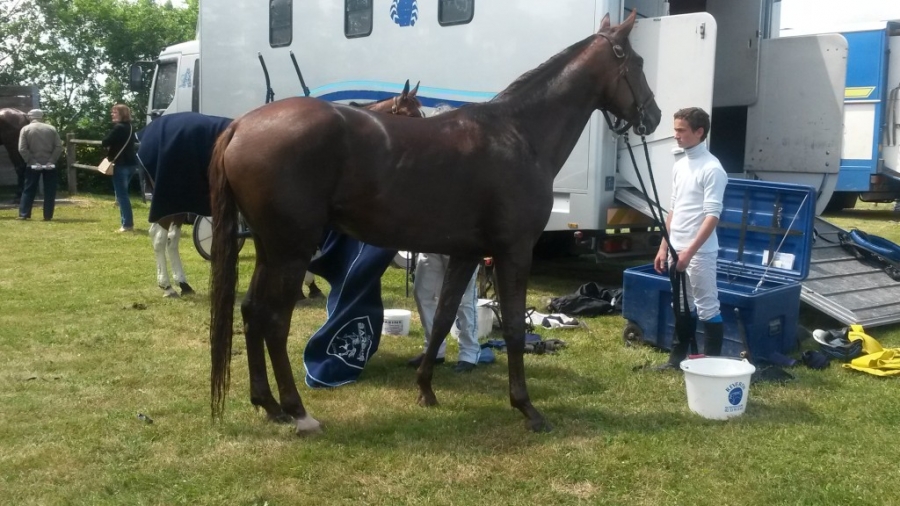 BARCA DE LOU (Coktail jet-Neastern de Lou)