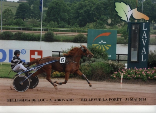 BELLISSIMA DE LOU (Saxo de vandel-Natacha de Lou)
