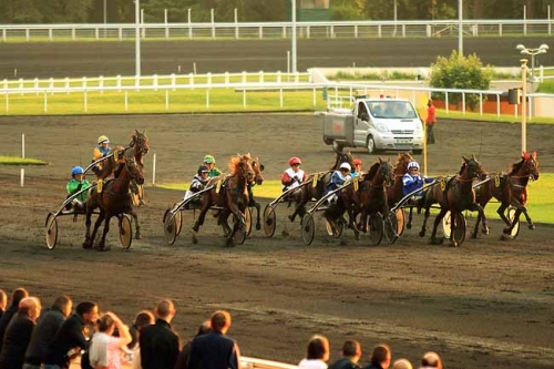 BELLISSIMA DE LOU (Saxo de vandel-Natacha de Lou)