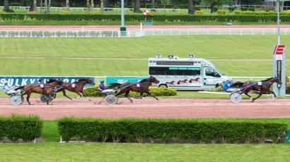 UNORA DE LOU (Goetmals wood-Nora de lou)