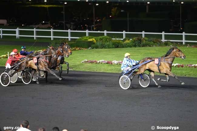 VOLARE DE LOU (Korean-Pareastern de Lou)