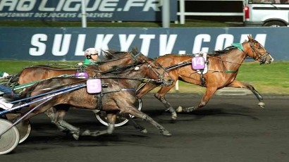 BIANCA DE LOU (Ready Cash-Prima Dona de Lou)