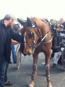 BELLISSIMA DE LOU ( Saxo de vandel- Natacha de Lou)