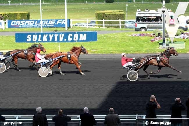 VOLARE DE LOU (Korean-Pareastern de Lou)