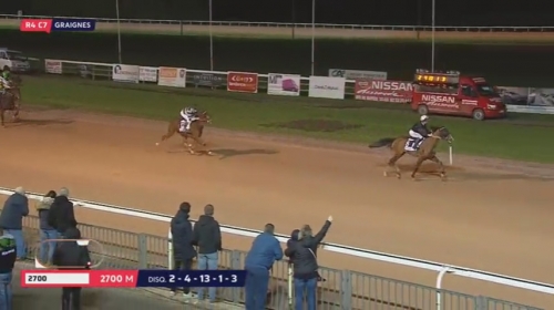 GAUCHO DE LOU (Ganymède-Kooka de Lou)