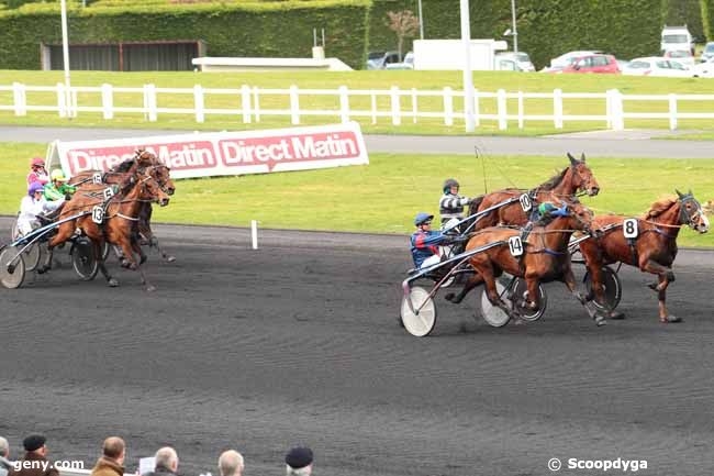 AOSTA DE LOU (Goetmals wood-Prima dona de lou)