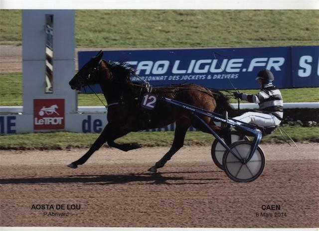 AOSTA DE LOU (Goetmals wood-Prima dona de Lou)