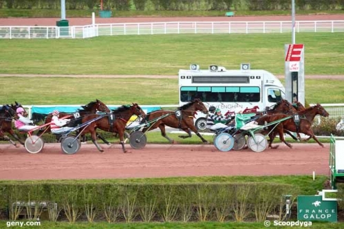 ARABELLA DE LOU (Coktail jet-Quinska de Lou)