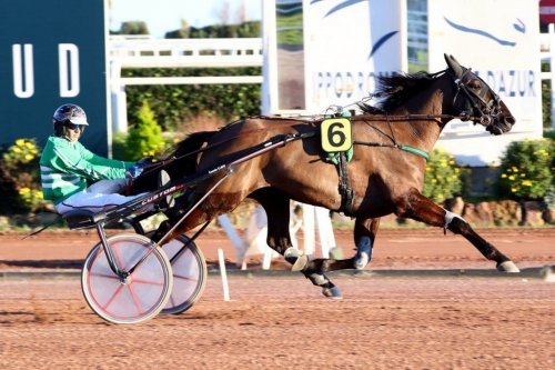 ELMAGNIFICO DE LOU (Prodigious-Prima dona de Lou)