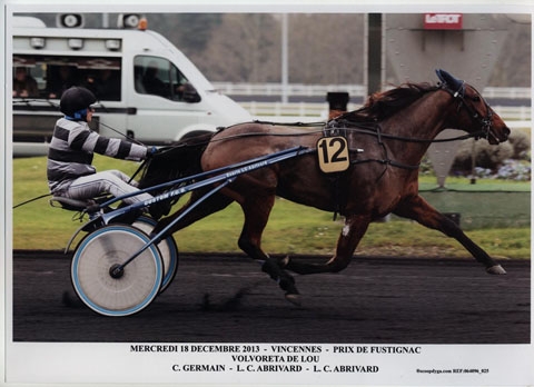 VOLVORETA DE LOU (Goetmals wood-Nora de Lou)