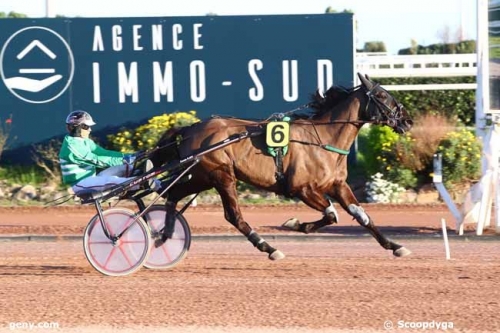 ELMAGNIFICO DE LOU (Prodigious-Prima dona de Lou)