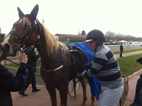 BAHAMA DE LOU ( Quatre Juillet-Quinska de Lou)