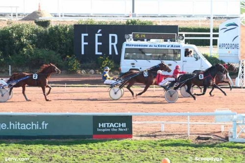 VOLARE DE LOU (Korean-Pareastern de Lou)