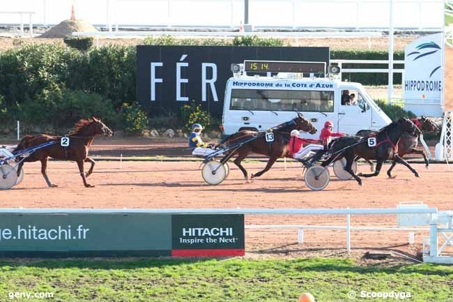 VOLARE DE LOU (Korean-Pareastern de Lou)