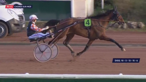 GALLIA DE LOU (Real de Lou-Tanga de Lou)