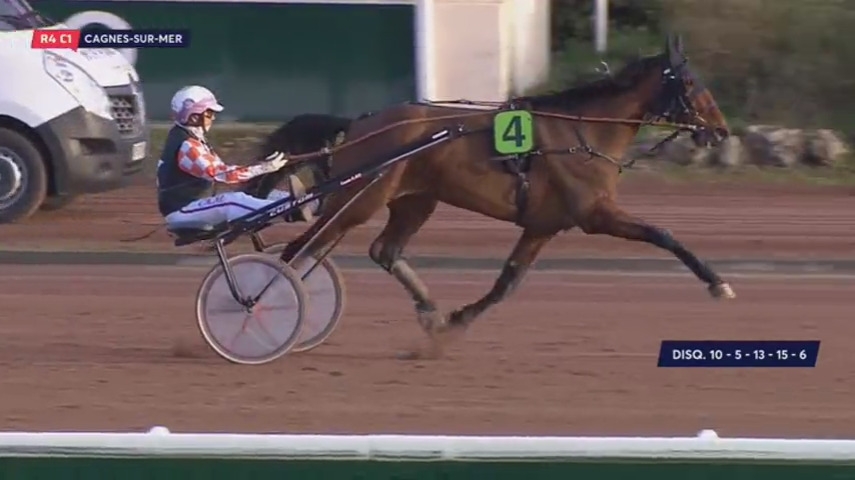 GALLIA DE LOU (Real de Lou-Tanga de Lou)