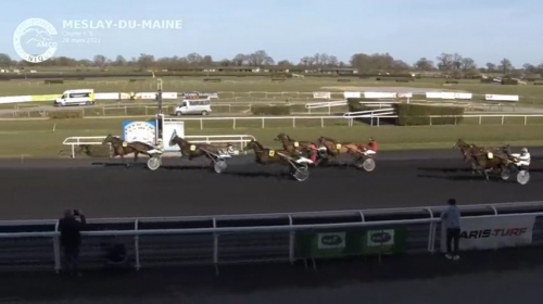 FILHIO DE LOU (Prodigious-Lola de Lou)