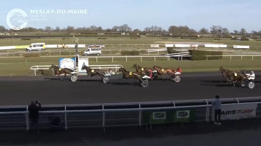 FILHIO DE LOU (Prodigious-Lola de Lou)