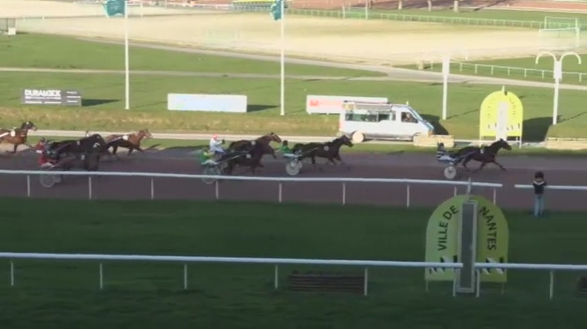 DOMINGO DE LOU (Real de Lou-Quinska de Lou)