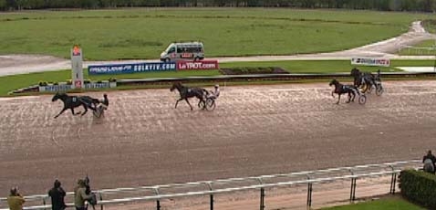 AOSTA DE LOU (Goetmals wood-Prima dona de Lou)