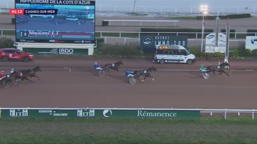 ELMAGNIFICO DE LOU (Prodigious-Prima dona de Lou)