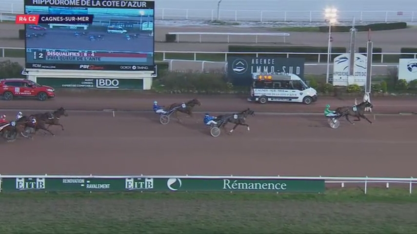 ELMAGNIFICO DE LOU (Prodigious-Prima dona de Lou)