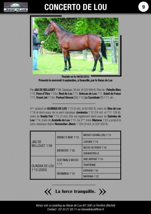 Ventes de yearlings les 4,5 et 6 septembre à Deauville
