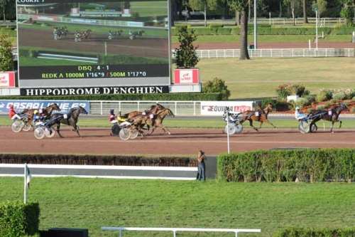 ARABELLA DE LOU ( Coktail Jet – Quinska de Lou)