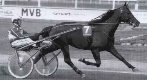 MELLBY VIKING ( Viking kronos-Naomi de Lou)