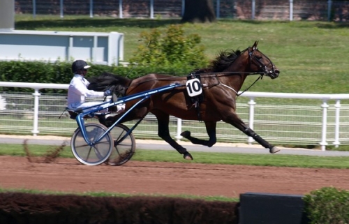 REAL DE LOU (Jag de Bellouet-Kooka de Lou)