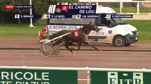 EL CAMINO DE LOU (Royal dream-Saba du vivier)