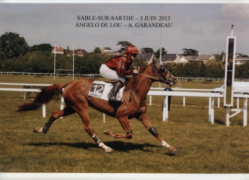 ANGELO DE LOU (Obrillant-Plata de Lou)