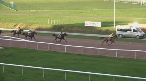 DOMINGO DE LOU (Real de Lou-Quinska de Lou)