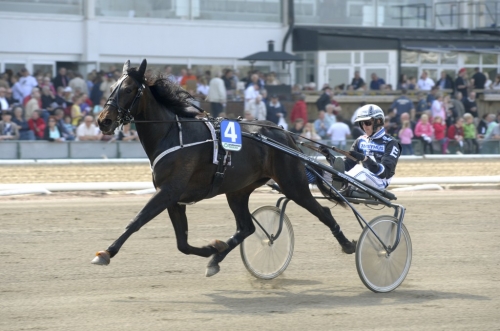 ABBA DE LOU (Going Kronos-Sierra de Lou)
