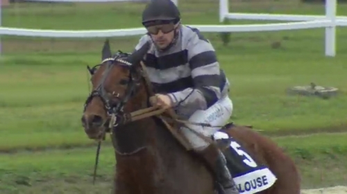 GAUCHO DE LOU (Ganymède-Kooka de Lou)