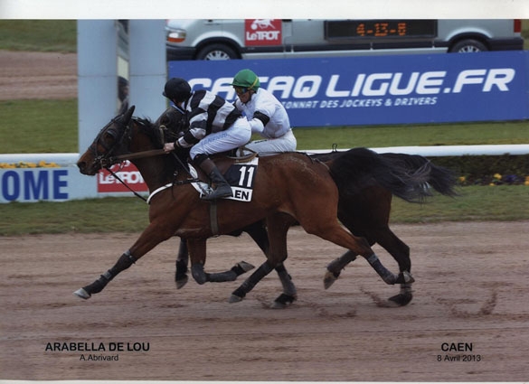 ARABELLA DE LOU (Coktail jet-Quinska de Lou)