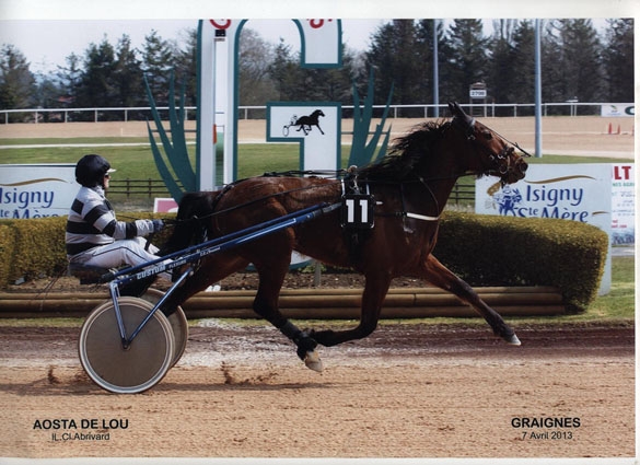 AOSTA DE LOU (Goetmals wood-Prima dona de Lou)