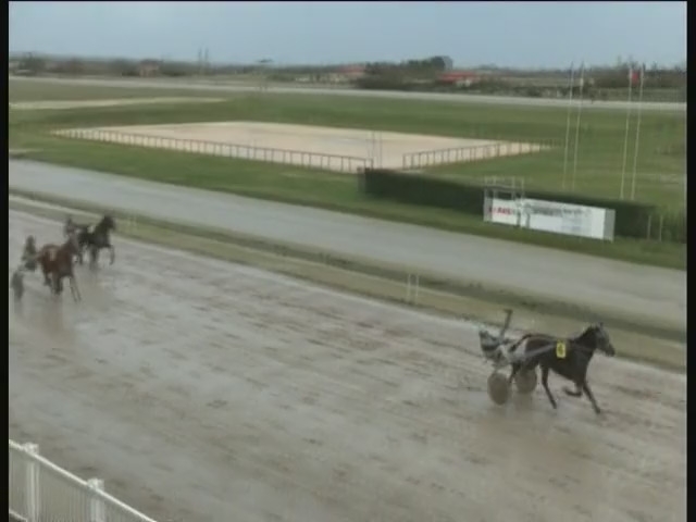 EL CAMINO DE LOU (Royal dream-Saba du vivier)