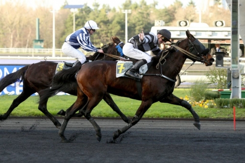 REAL DE LOU (Jag de Bellouet-Kooka de Lou)