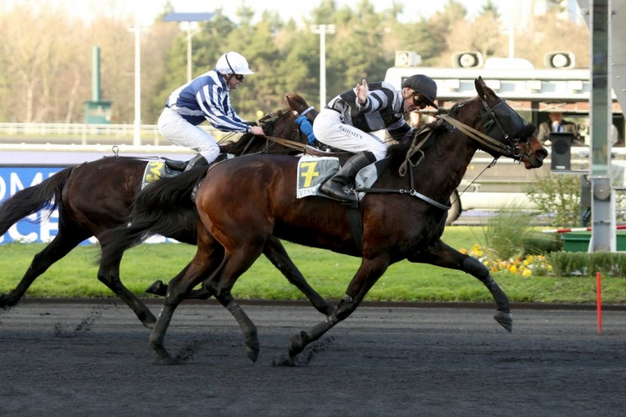 REAL DE LOU (Jag de Bellouet-Kooka de Lou)