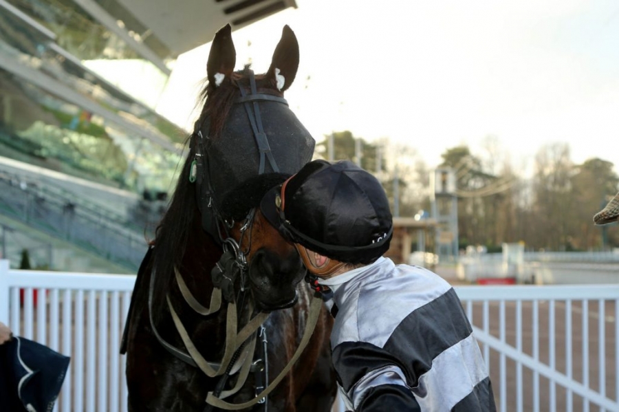 DAIDA DE VANDEL (Real de Lou-Gallia de vandel)