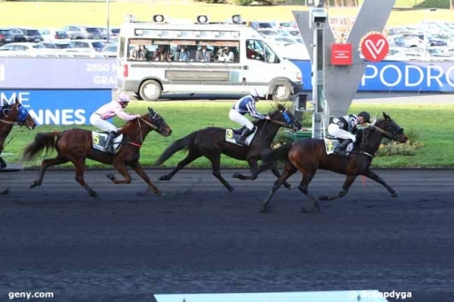 DAIDA DE VANDEL (Real de Lou-Gallia de vandel)