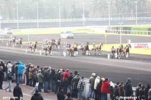 SABA DU VIVIER (Ganymède-Melusine du vivier)