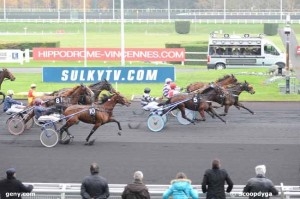 UNORA DE LOU (Goetmals wood-Nora de Lou)