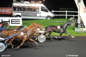 TANIA DE LOU (And Arifant-Lola de Lou)