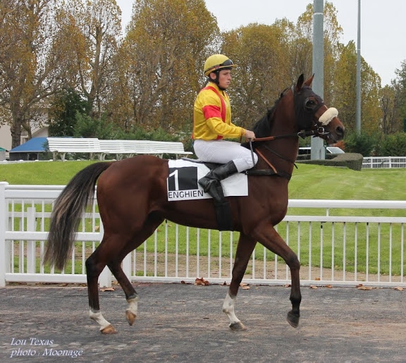 LOU TEXAS (Poliglote-Abilène)