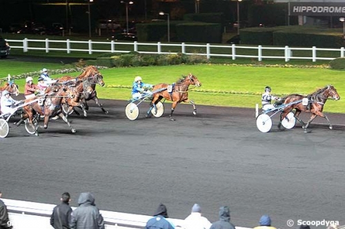 UNORA DE LOU (Goetmals wood-Nora de Lou)