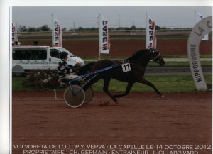 VOLVORETTA DE LOU (Goetmals wood-Nora de Lou)