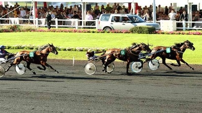 SELECAO DE LOU (Jag de Bellouet-Lola de lou)